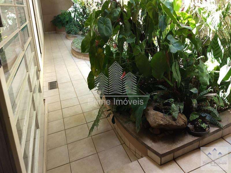 Sala Comercial para Comprar em Marília no bairro SALGADO FILHO