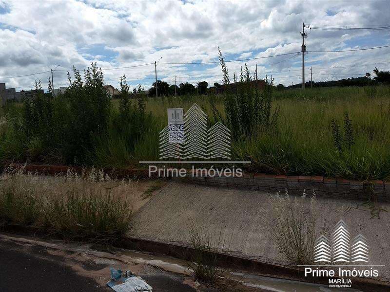 Terreno para Comprar em Marília no bairro TERRA VERDE