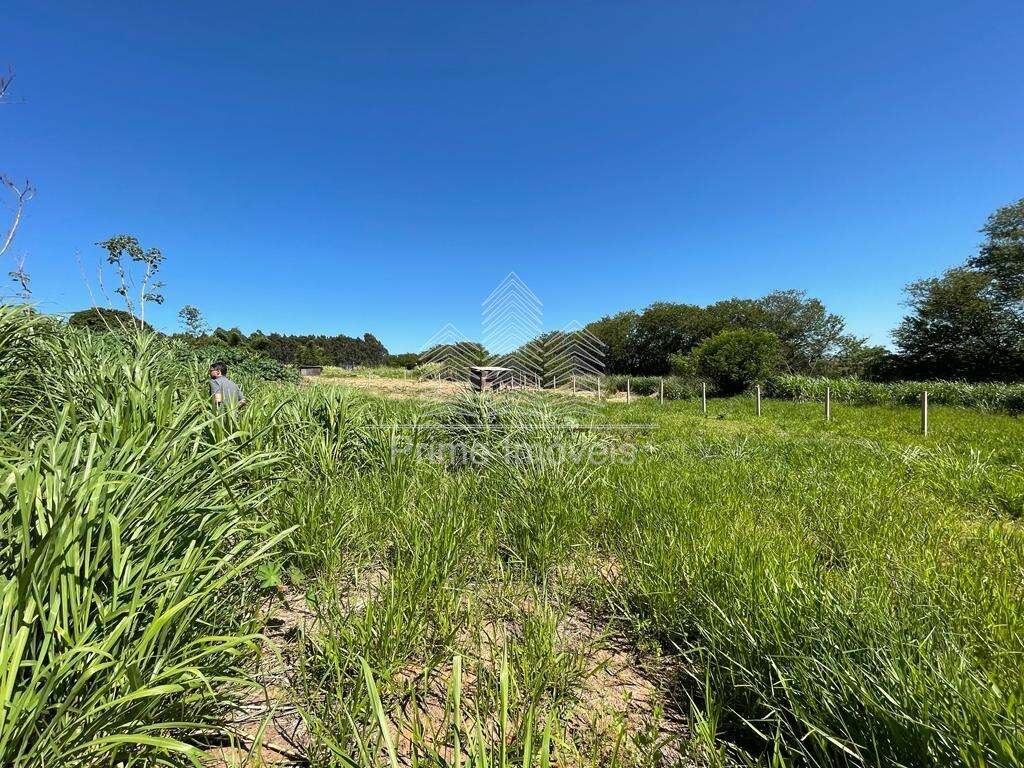 Loteamento para Comprar em Marília no bairro JARDIM MORUMBI Loteamento para Comprar em Marília no bairro JARDIM MORUMBI