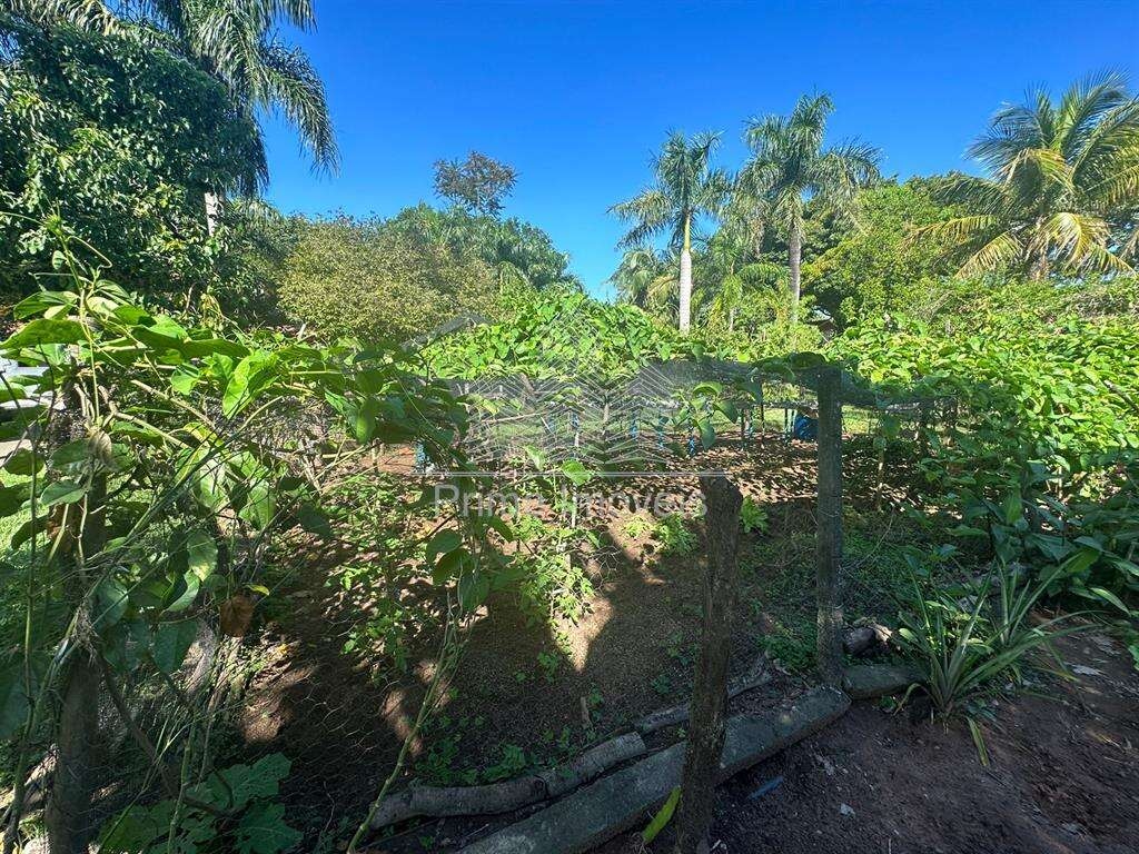 Chácara para Comprar em Marília no bairro Área Rural De Marília Chácara para Comprar em Marília no bairro Área Rural De Marília